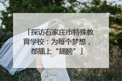 探访石家庄市特殊教育学校：为每个梦想，都插上“翅膀”